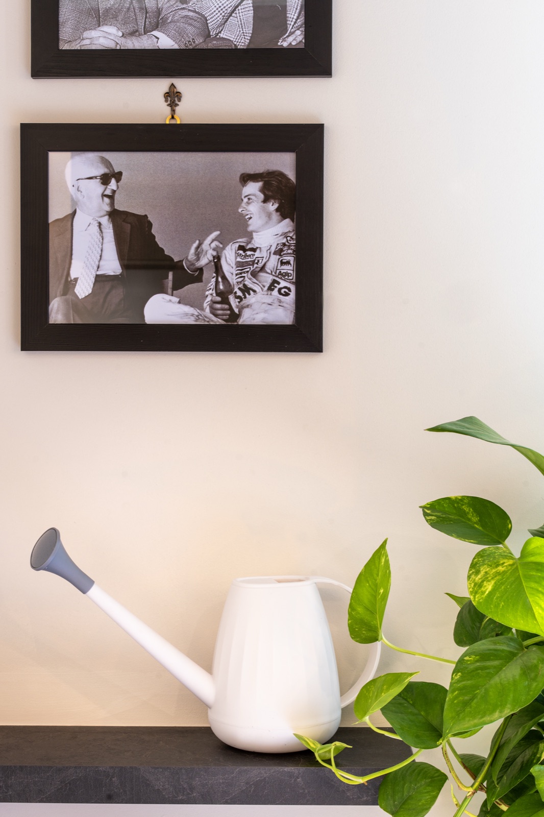 Historic black-and-white photographs above the shelf, with a plant